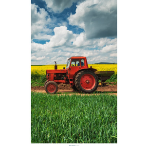 TipTrade Bavlněný froté ručníček 30x50 cm - Červený traktor