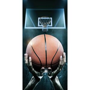 Jerry Fabrics Bavlněná froté osuška 70x140 cm -  Basketbal
