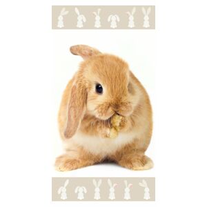 Jerry Fabrics Bavlněná froté osuška 70x140 cm - Bunny "Brown"