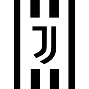 Carbotex Deka fleecová 150x200 cm - Juventus FC Black and White