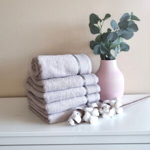 PovlečemeVás Bavlněný froté ručník COLOR 50x100 cm - Světle šedý